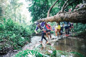 BIB: 
                            <button type="button" onclick="openModal(25455783)" class="btn btn-primary btn-sm float-right btn-popup" data-toggle="modal" data-target=".modal-high-quality">
                        <i class="fas fa-shopping-cart"></i> Add to Cart
                    </button>
                                            <button type="button" onclick="isThisMe(25455783, true)" class="btn btn-success btn-sm float-right btn-popup btn-isme hidden" data-toggle="tooltip" data-placement="bottom" title="นี่คือรูปของคุณใช่ไหม คลิกที่นี่เพื่อเอาเข้าอัลบั้ม">
                        <i class="fas fa-plus"></i> Add to album
                    </button>
                    <button type="button" onclick="isThisMe(25455783, false)" class="btn btn-warning btn-sm float-right btn-popup btn-isnotme hidden">
                        <i class="fas fa-ban"></i> Remove from album
                    </button>